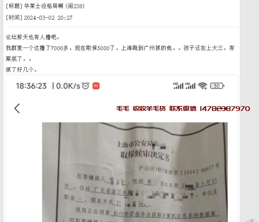 上次买华莱士bug的进去了 喷射战士慎撸-羊毛